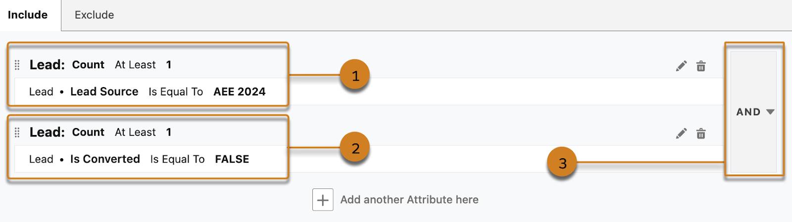 [Lead Source (リードソース)] と [Is Converted (取引開始済み)] の値が表示されたセグメントキャンバス。