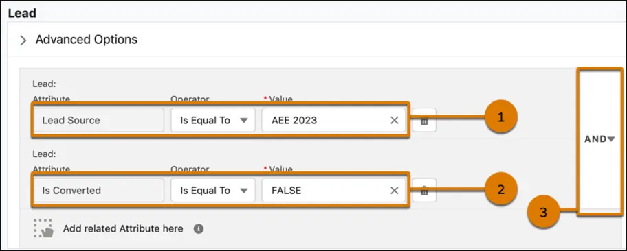 [Lead Source (リードソース)] と [Is Converted (取引開始済み)] の値が表示されたセグメントキャンバス。