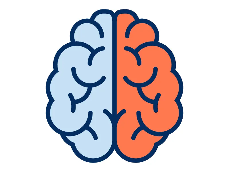 The brain with the left hemisphere colored blue and the right colored red to emphasize how either side controls different aspects of personality