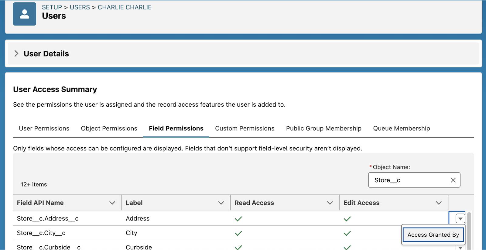 Página de resumen de acceso de los usuarios de Salesforce.