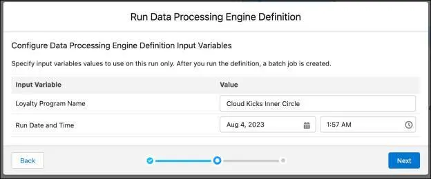 The Run Data Processing Engine Definition window where you enter details of the input variables}