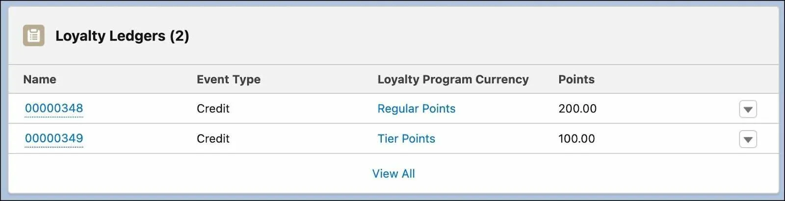 The Loyalty Ledgers card where you can view accrual details