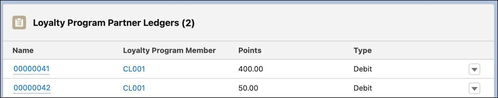 The Loyalty Program Partner Ledgers card where you can view partner ledger details