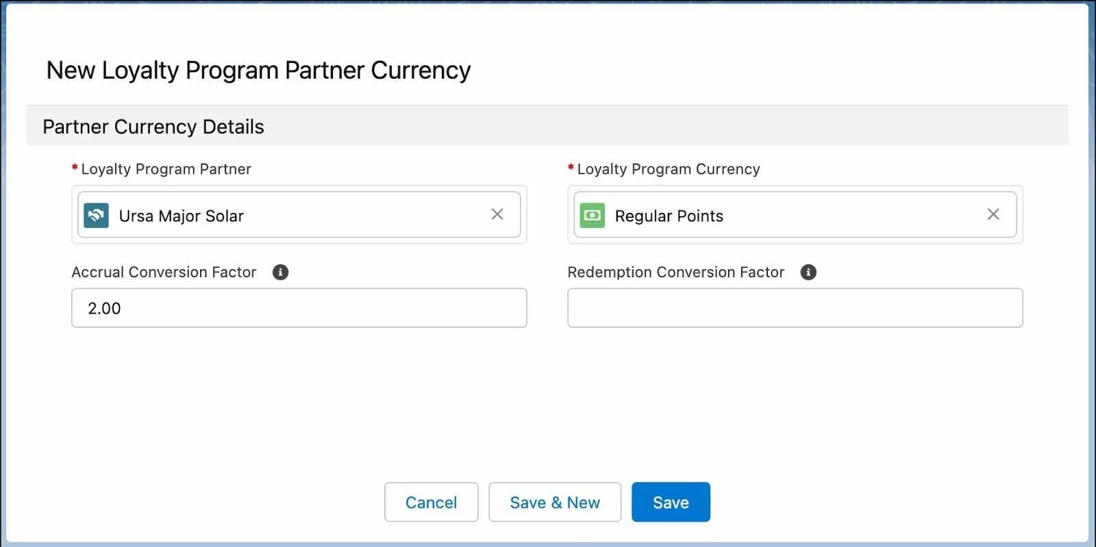 The New Loyalty Program Partner Currency window where you can define the conversion factor for accrual or redemption points