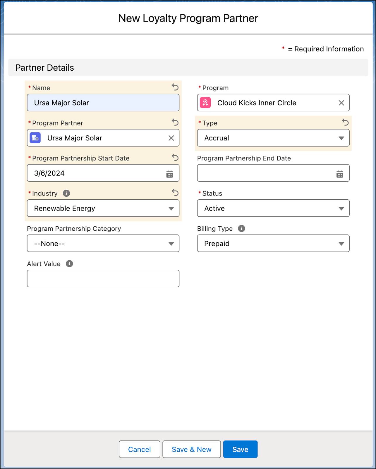 The New Loyalty Program Partner window with the details populated