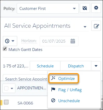 Optimize selected in the list of service appointments.