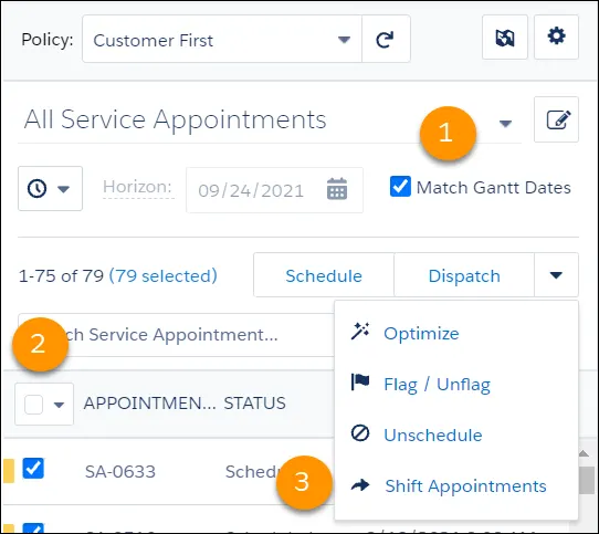 Appointment list showing all the appointments selected and Shift Appointments highlighted in the dropdown menu.