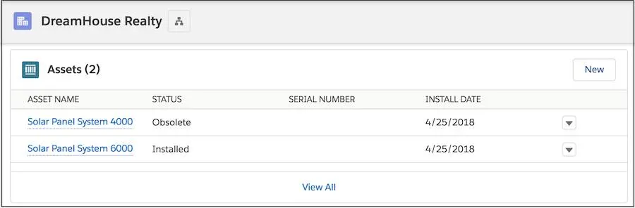 Assets related list on the DreamHouse Realty asset record showing two assets