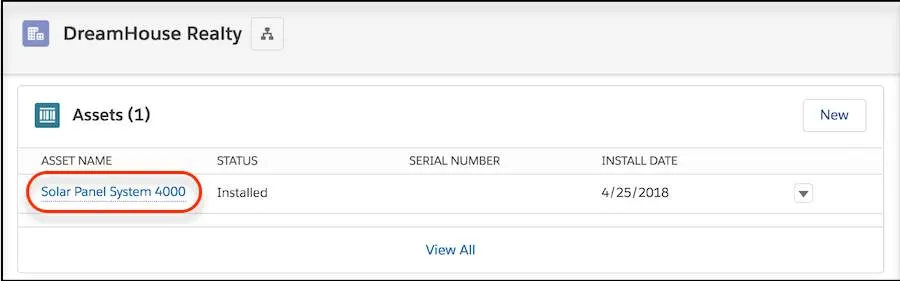 Assets related list on DreamHouse Realty account record