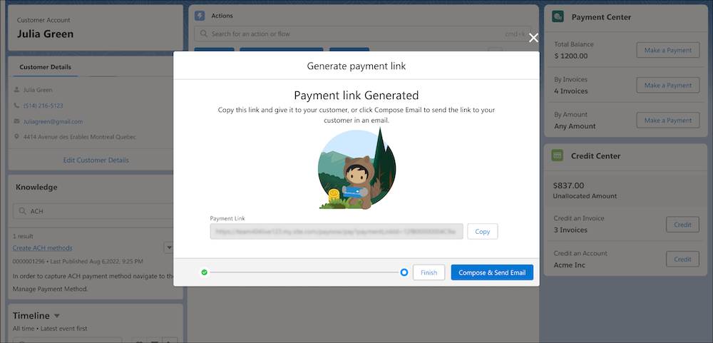 A new payment link generated in Salesforce.