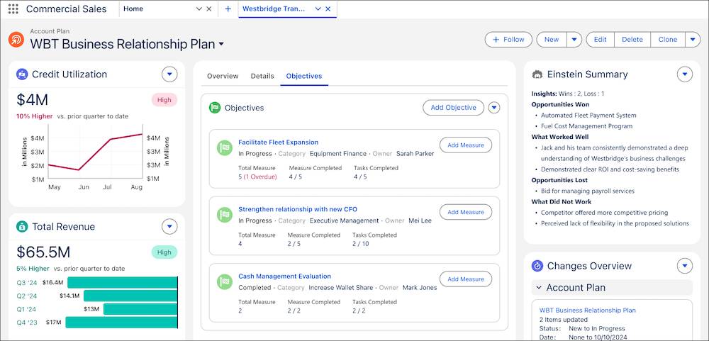 A business relationship plan showing objectives, total revenue, credit utilization, and an Einstein summary.