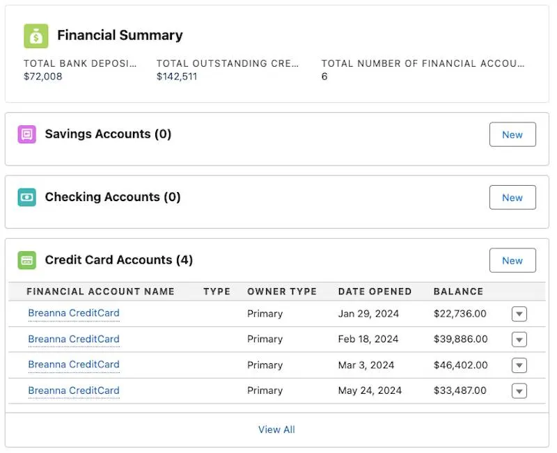 A Financial Summary component and other related lists on a person account record.