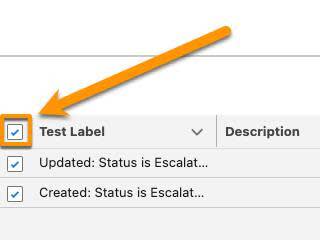 手順 2 に対応する [Tests (テスト)] ウィンドウ。