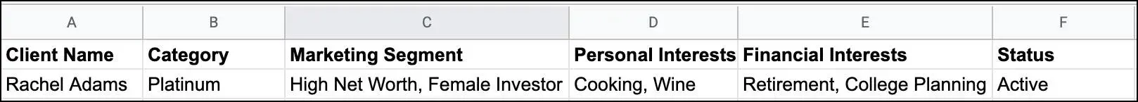 A spreadsheet table with the following columns: Client name, Category, Marketing Segment, Personal interests, Financial Interests, Status. Only one record is displayed: Rachel Adams