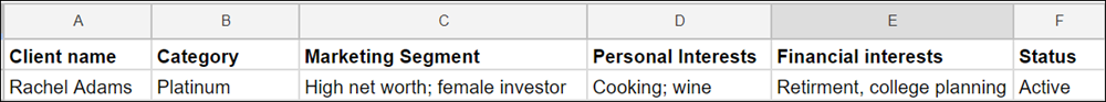 一个电子表格表，其中显示以下几列：客户名称，类别，市场细分，个人利益，财务利益，状态。 仅显示一条记录：Rachel Adams
