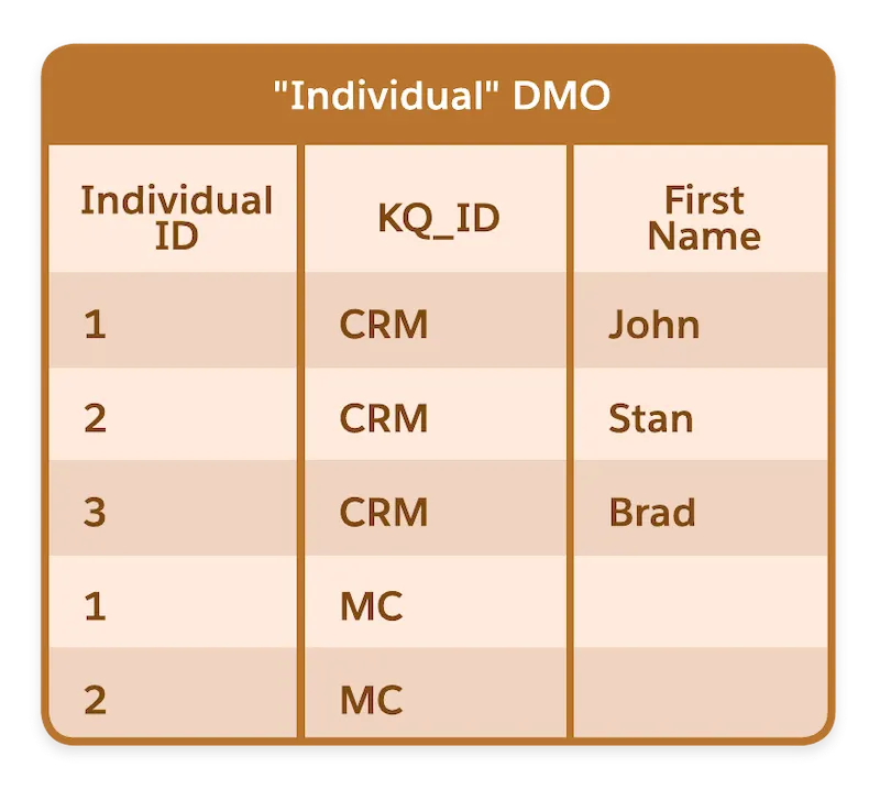 The Individual DMO with a key qualifier column added to show the data source.