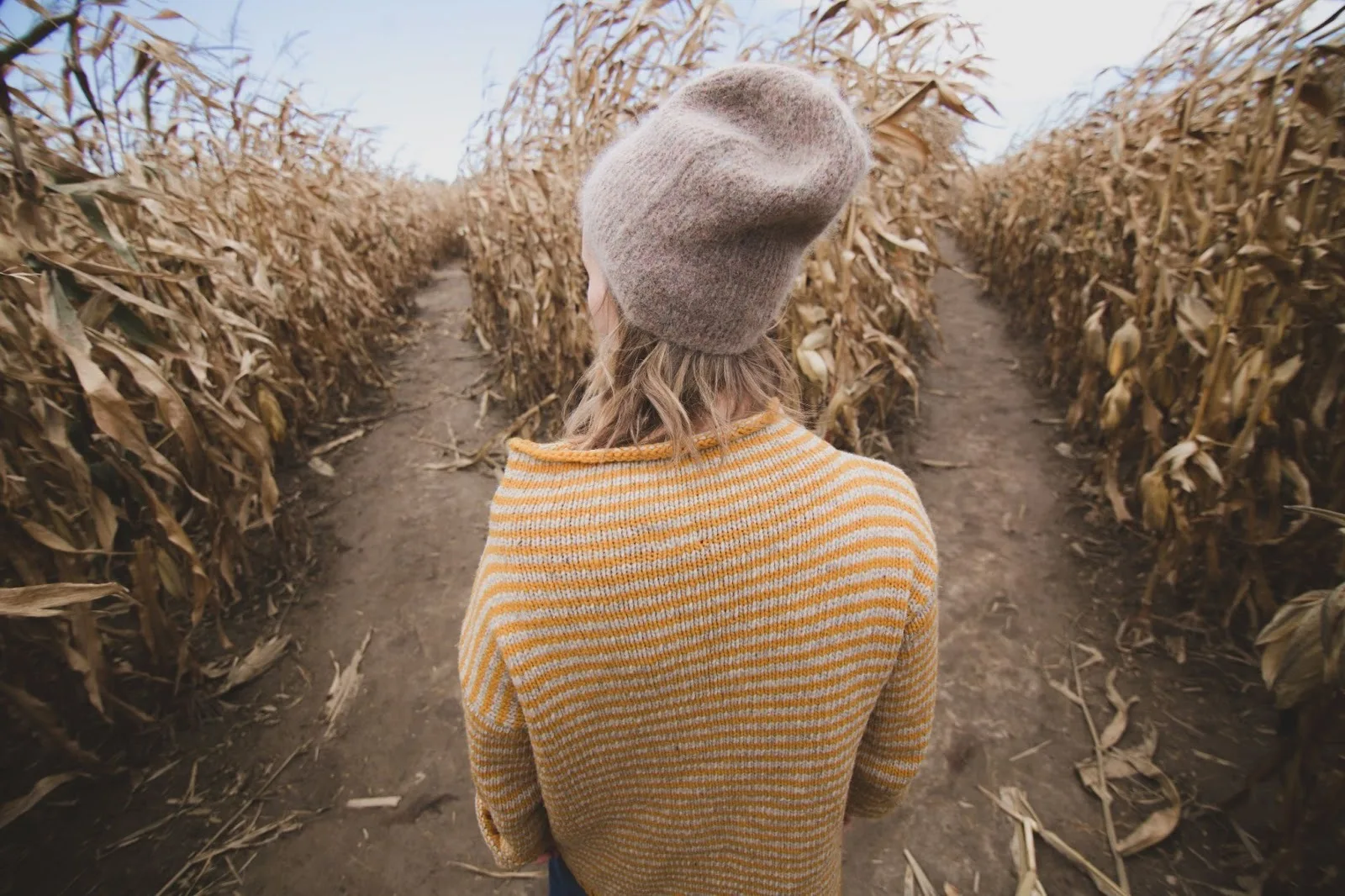 Woman deciding between two paths in a cornfield.