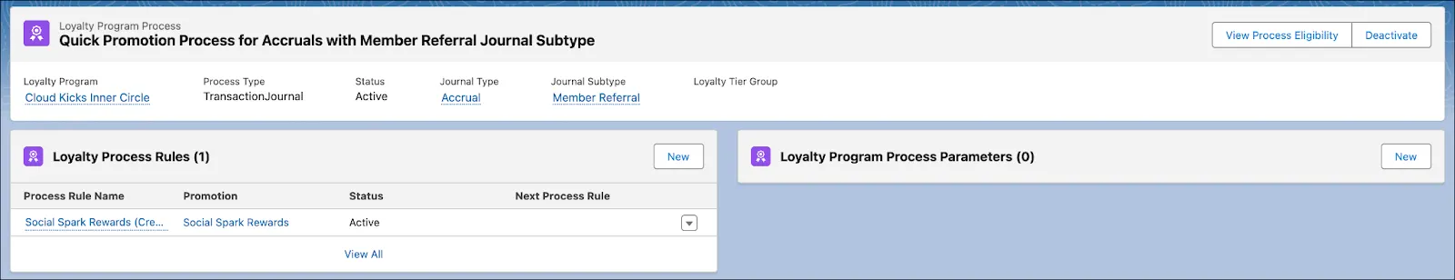 The loyalty program process for the Social Spark Rewards promotion.