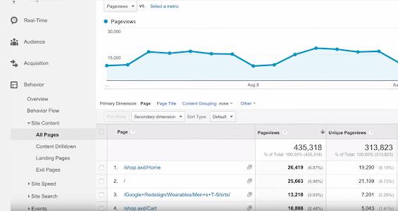 Pageviews report, showing how frequently each page on your site was viewed