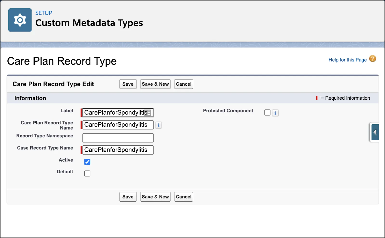 Process of adding a new Care Plan Record Type.