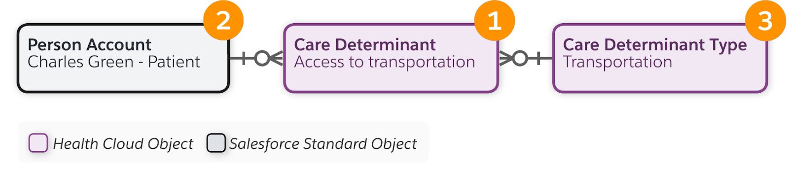 The Care Determinant object’s relationship to the Person Account and Care Determinant Type objects.