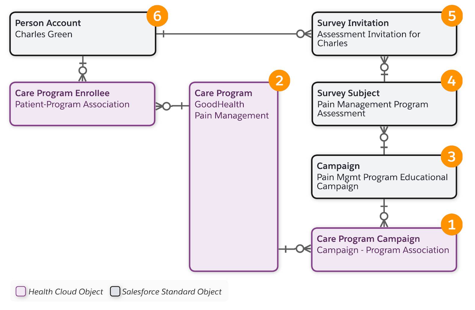 The objects related to care program campaigns and surveys.