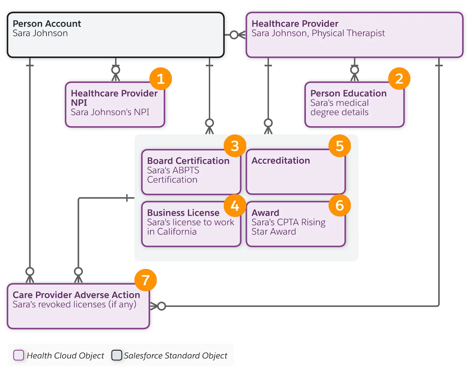 Provider certification, education, and license objects.