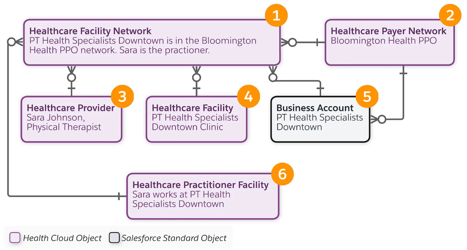 The Healthcare Facility Network object and related objects.