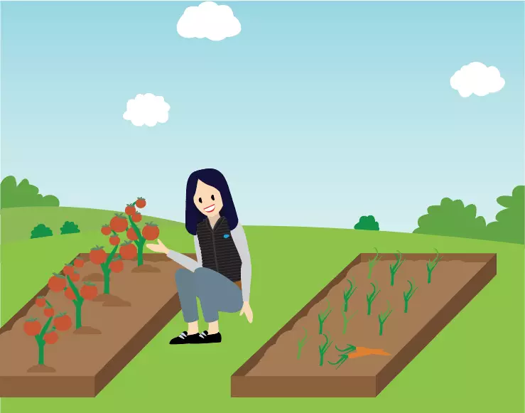 A person enjoying a vegetable garden.