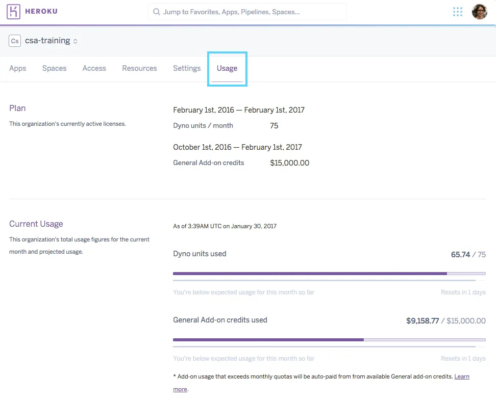 Registerkarte 'Usage' des Heroku Enterprise-Teams