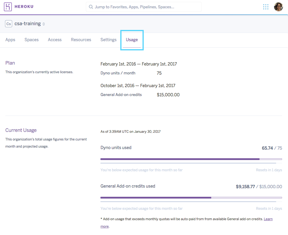 Heroku Enterprise Team の [Usage (利用状況)] タブ