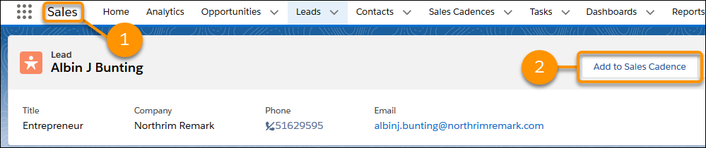 A lead record in the Sales app.
