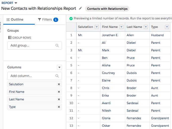 Report preview for New Contacts with Relationships Report.