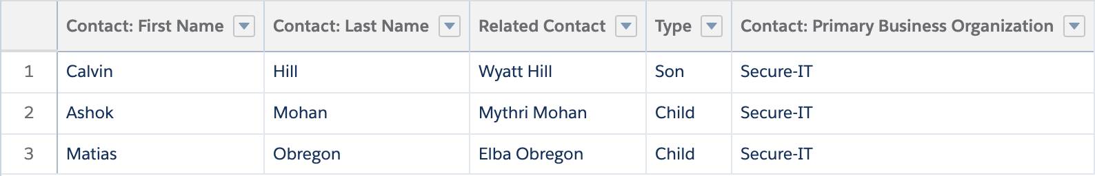 主ビジネス団体が Secure-IT である保護者のみを表示しているレポートプレビュー