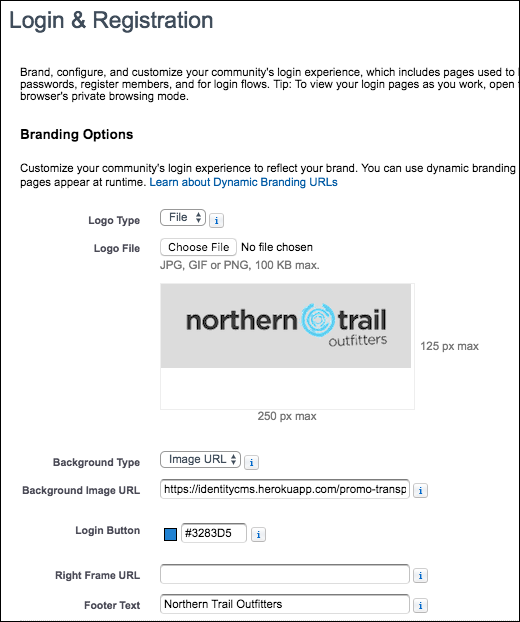 Login & Registration branding options screenshot