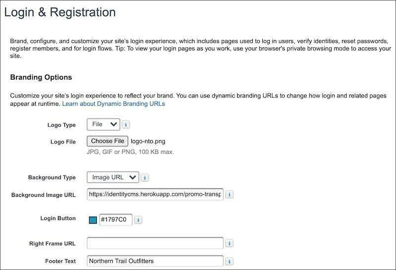 Captura de tela de opções de identidade visual em Login e registro