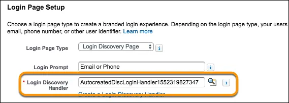 Name of the default login discovery handler screenshot