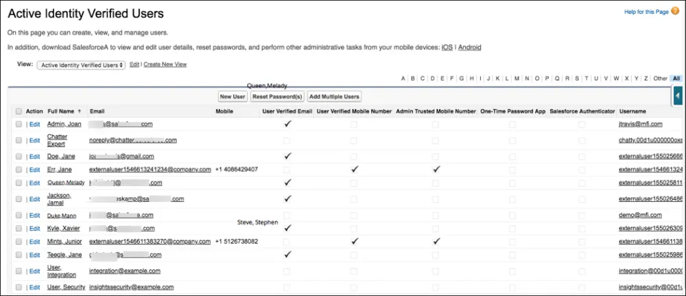 Captura de pantalla del reporte de usuarios verificados activos