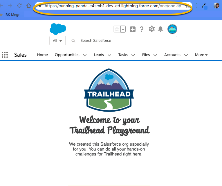 Name of Trailhead Playground appears in browser address bar
