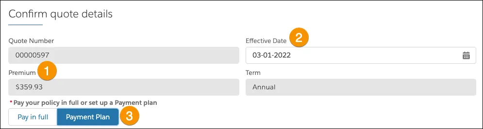 The Confirm quote details step presents a summary of the quote and option to pay in full or set up payment plan.