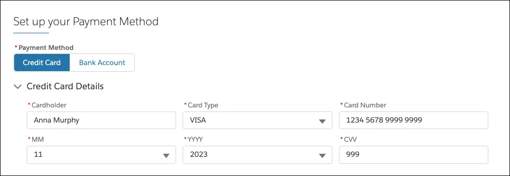 Screenshot with the Credit Card option selected and Anna’s credit card details added