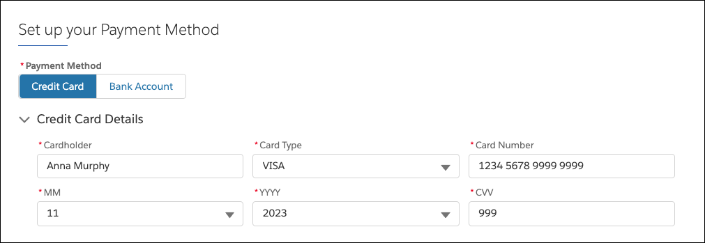 [クレジットカード] オプションが選択され、Anna のクレジットカードの詳細情報が追加されている画面のスクリーンショット