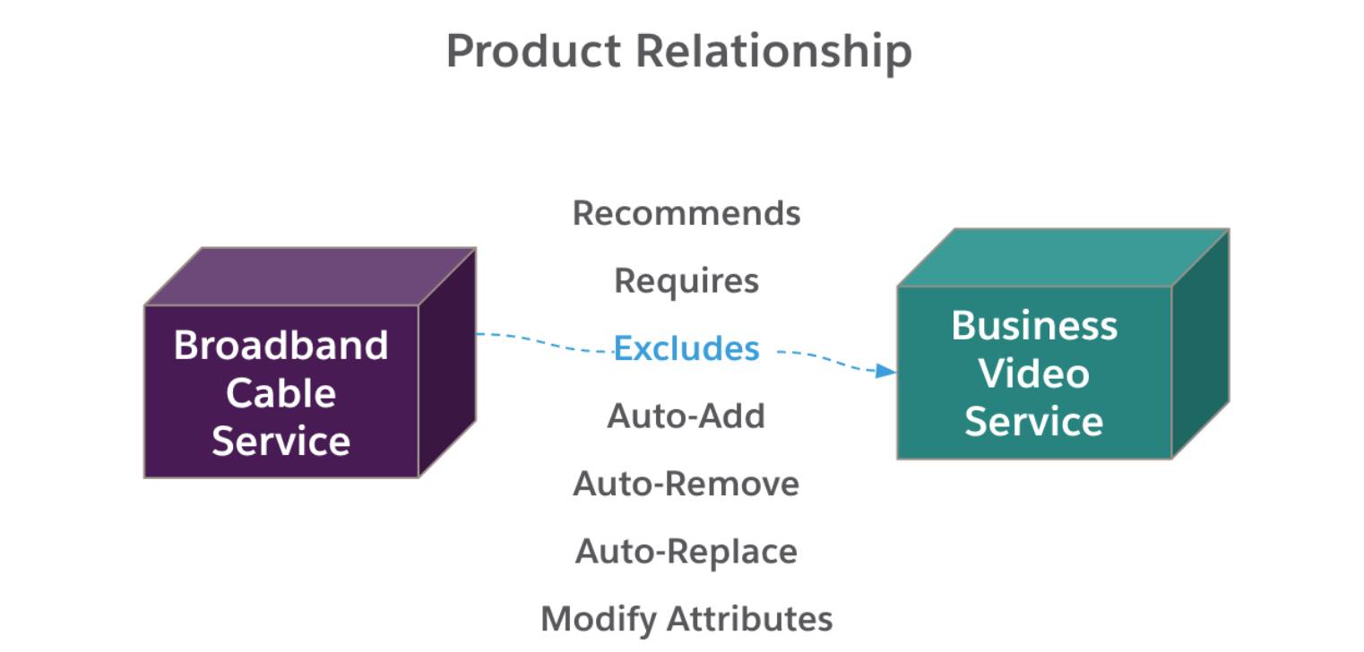 The products Broadband Cable Service and Business Video Service with the Excludes product relationship.