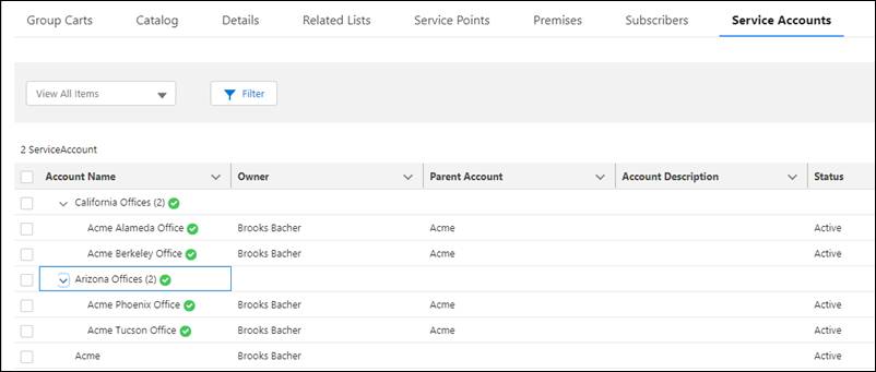 Service accounts listed on the Service Accounts tab of the quote