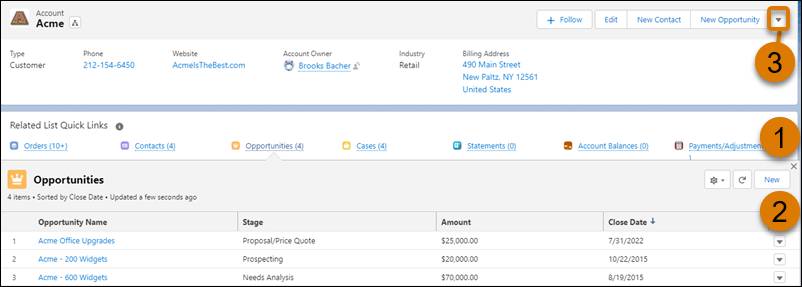 Acme Account screen with Related List Quick Links, Opportunities list, and action dropdown menu