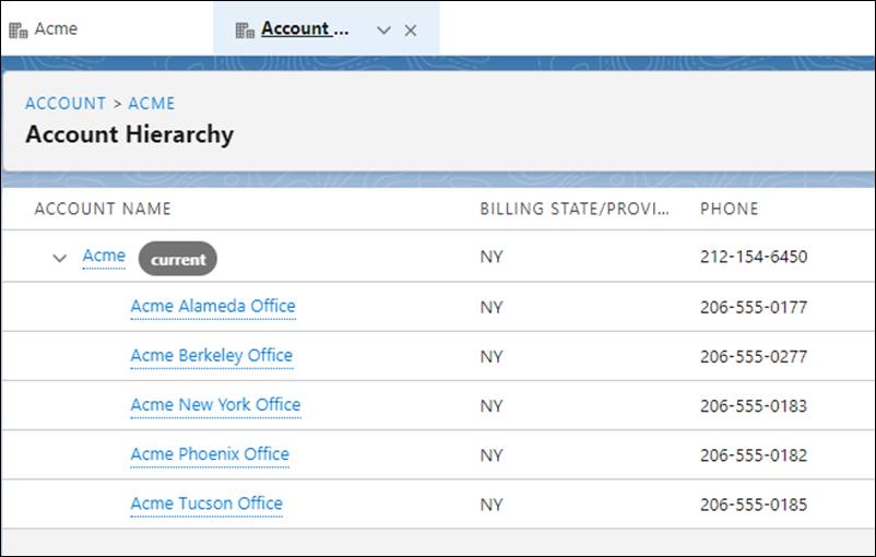 Account Hierarchy workspace showing a list of Acme offices under the Acme account name