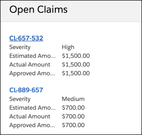 Listing of open claims for Rachel Adams