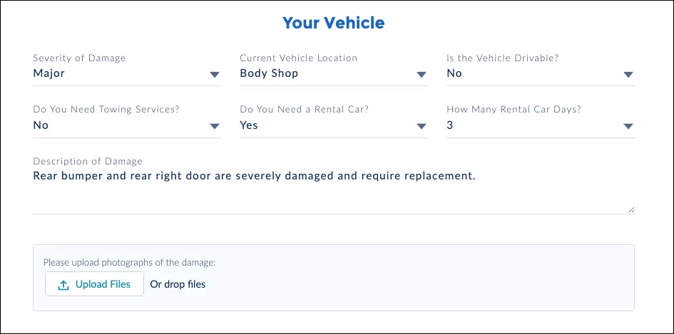 Anna specifies the damage to her vehicle.