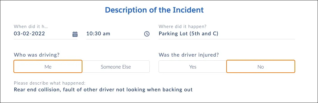 Screenshot of Anna’s initial description of the incident