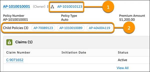 Image showing parent and child policies for a multiline policy